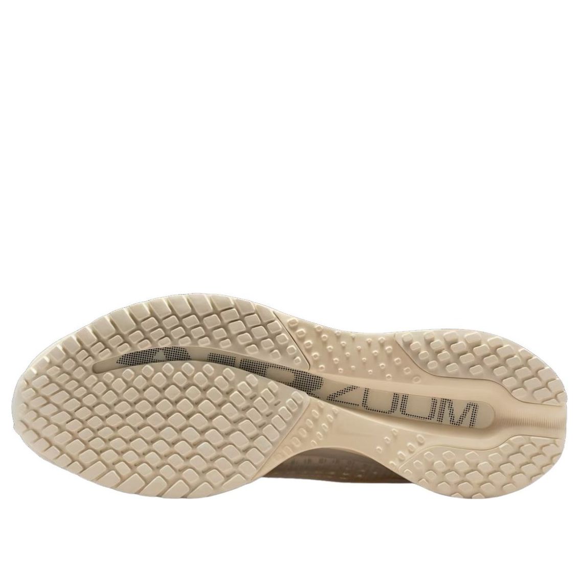 Shop 나이키 페가수스 프리미엄 ''내추럴'' IQ5691-100