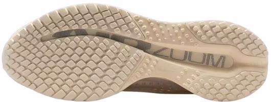 Shop Nike Pegasus Premium ''Natural'' Sepatu Lari Pria Wanita IQ5691-100