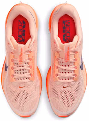 Nike Pegasus Premium 'Washed Coral' II6308-600 Order Nike Pegasus Premium 'Washed Coral' II6308-600