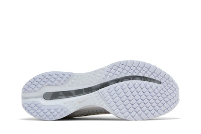 Nike Pegasus Premium 'White Metallic Silver'