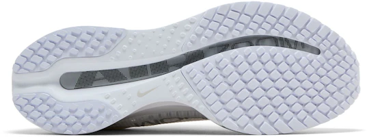 Purchase Nike Pegasus Premium 'White Metallic Silver' HQ2592-102