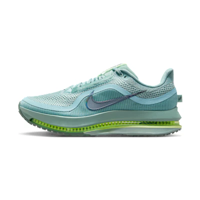 Nike Pegasus PRM Canon/Barley Vault/Vault/Seaweed