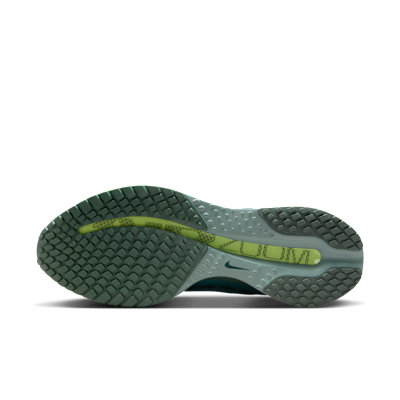 Lookbook Nike Pegasus Premium Canon/Barley Vault/Groen/Zeewier HQ2592-009