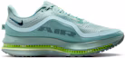 Shop Nike Pegasus Premium Canon/Barley Vault/Groen/Zeewier HQ2592-009