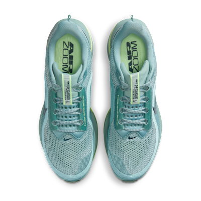 Purchase Nike Pegasus Premium Canon/Barley Vault/Groen/Zeewier HQ2592-009