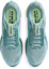 Purchase Nike Pegasus Premium Canon/Barley Vault/Groen/Zeewier HQ2592-009