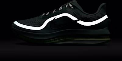 ナイキ ペガサス プレミアム キャノン/バーリーヴォルト/シーヴィード HQ2592-009 1