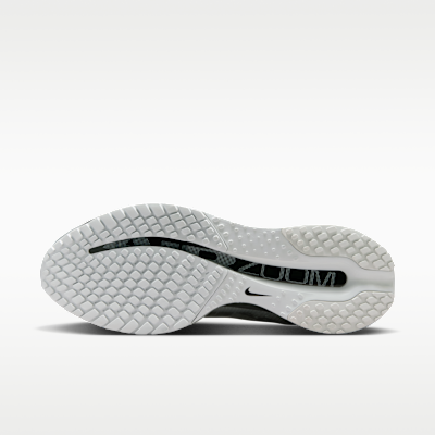 Lookbook Nike Pegasus Premium Photon Dust/Black/Metallic Silver IR1229-001