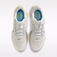 Purchase Nike Pegasus Premium Platinum Tint/Abu-Abu Fog/Abu Besi/Silver Reflective IQ0307-094