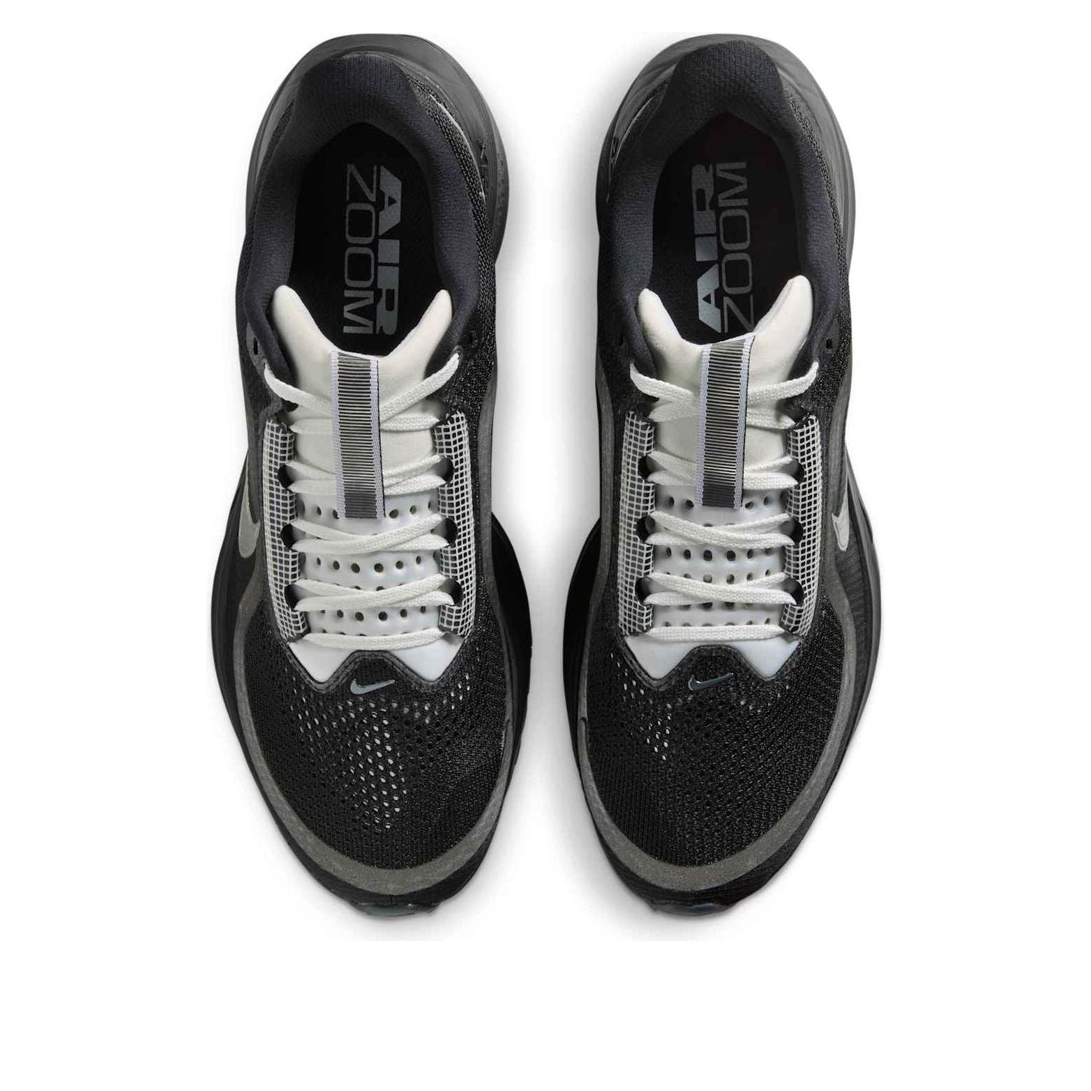 Order Nike Pegasus Premium SP 'Black Metallic Silver' IH4369-001