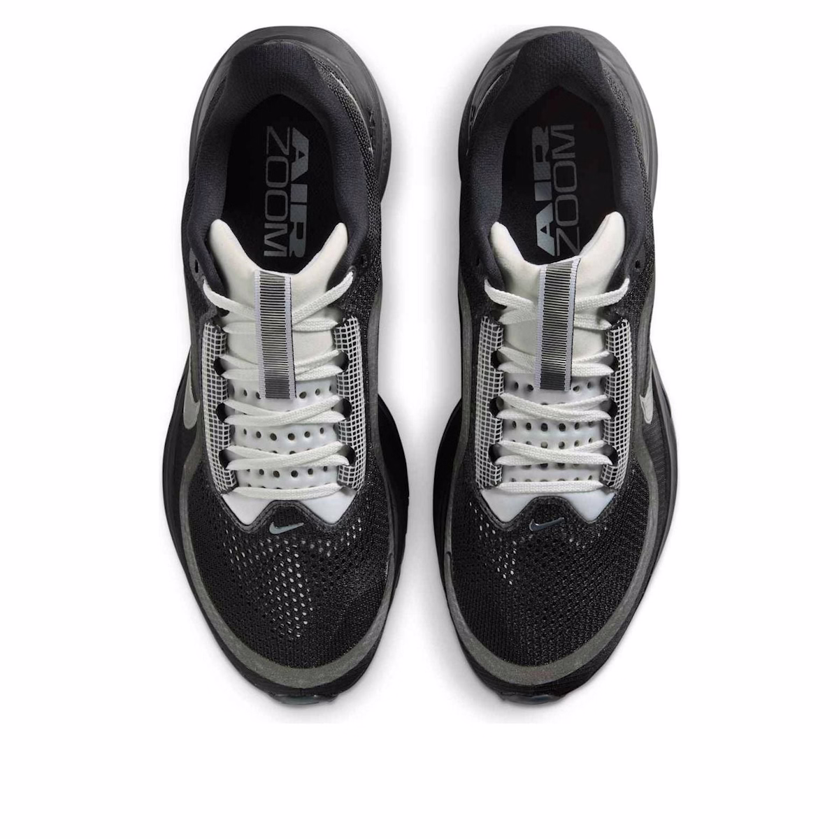 Nike Pegasus Premium SP 'Black Metallic Silver'