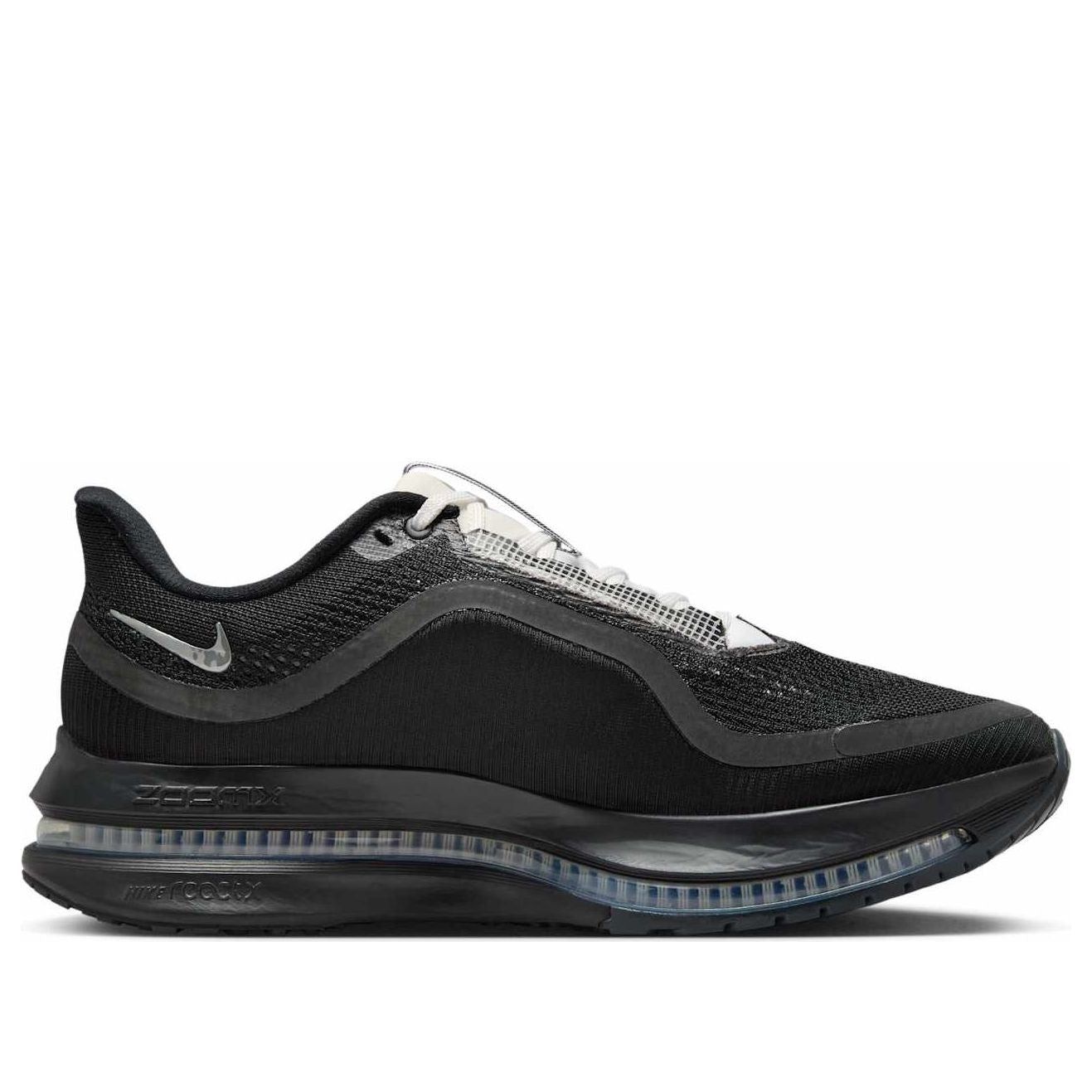 Details for Nike Pegasus Premium SP 'Black Metallic Silver' IH4369-001