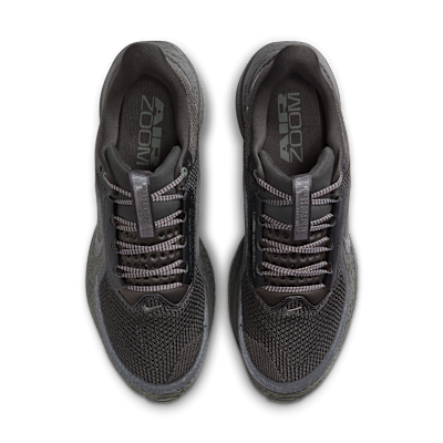 Shop Nike Pegasus Premium SP 淺羅丹/深炭灰/深錫色/金屬中灰 IM6000-264