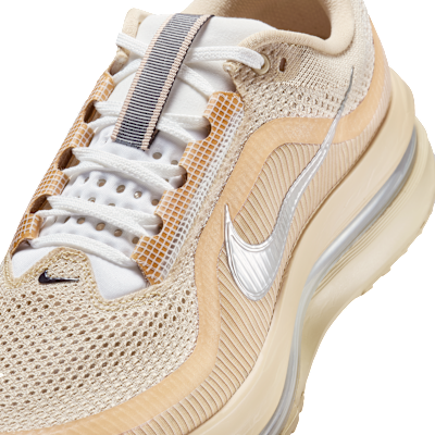 Sizing Nike Pegasus Premium SP Mushroom/White/Metallic Silver IH4369-200