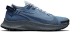 Order Nike Pegasus Trail 2 GORE-TEX ''Bleu Gris''. CU2016-400