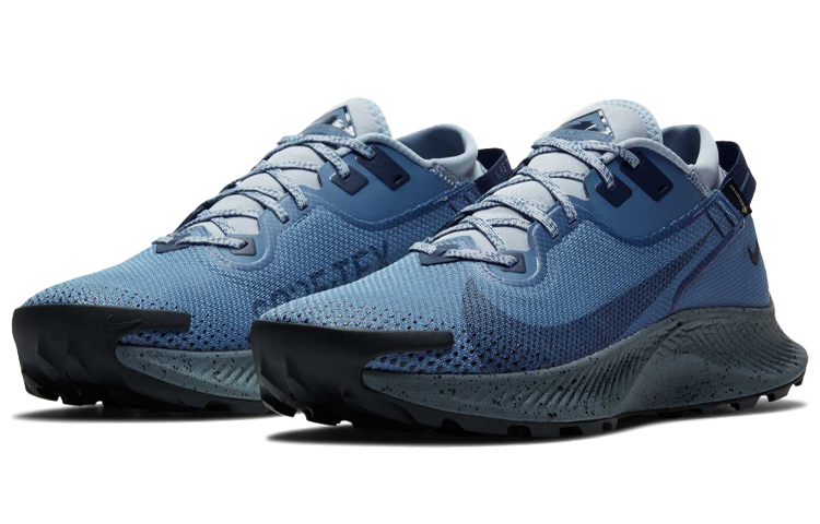 Lookbook Nike Pegasus Trail 2 GORE-TEX ''Bleu Gris''. CU2016-400