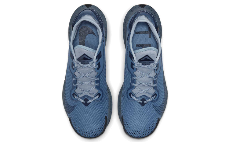 Shop Nike Pegasus Trail 2 GORE-TEX ''Bleu Gris''. CU2016-400