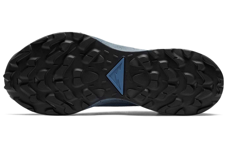 Details for Nike Pegasus Trail 2 GORE-TEX ''Bleu Gris''. CU2016-400