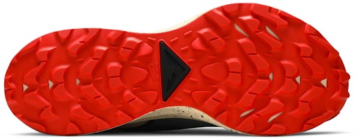 Nike Pegasus Trail 2 GTX 'Gris Humo Bucktan' CU2016-002 Shop Nike Pegasus Trail 2 GTX 'Gris Humo Bucktan' CU2016-002