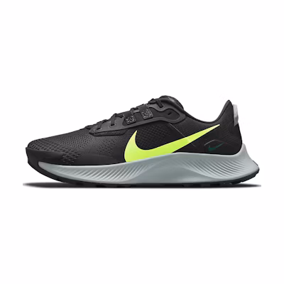 Nike Pegasus Trail 3 'Dark Smoke Grey Volt'