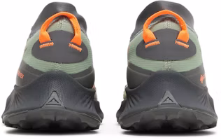 Sizing Nike Pegasus Trail 3 Gore-Tex '油綠' DO6728-300