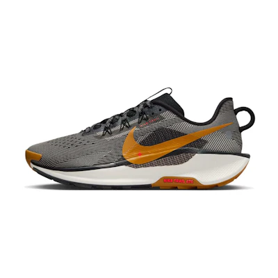 Nike Pegasus Trail 5 'Black Desert Ochre'