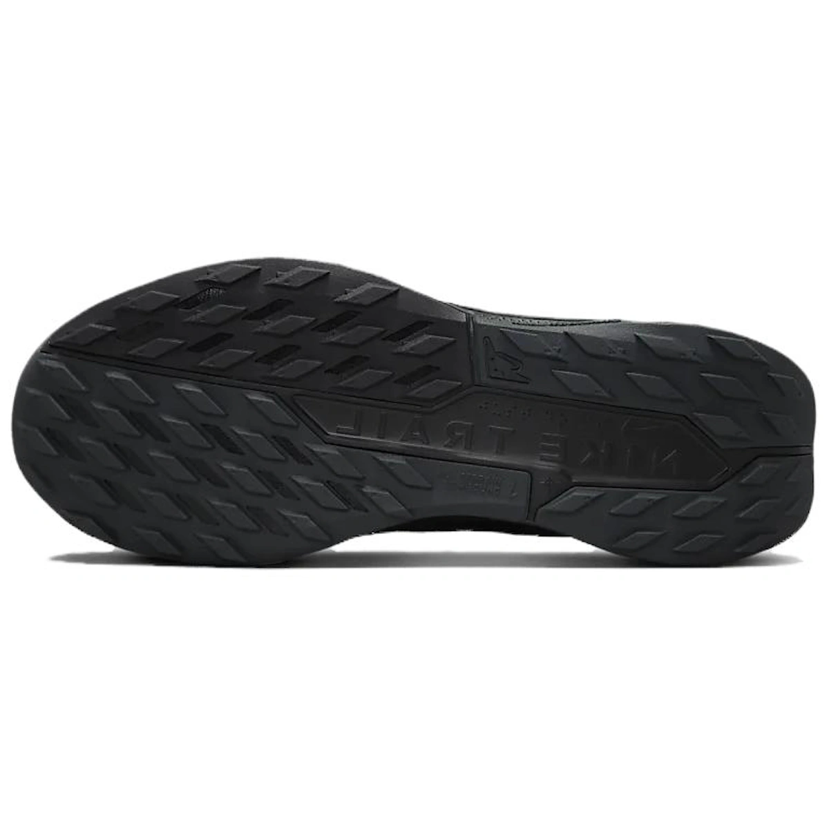 Nike Pegasus Trail 5 'Black Anthracite'