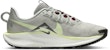 Nike Pegasus Trail 5 Kasut Larian DV3864-004
