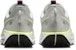 Nike Pegasus Trail 5 Kasut Larian DV3864-004