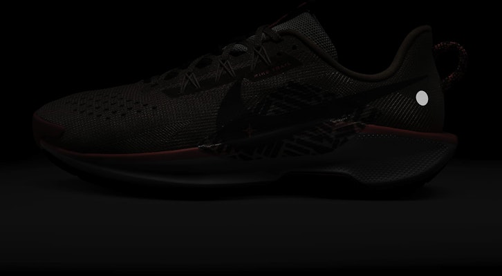 나이키 페가수스 트레일 5 DV3864-201 1