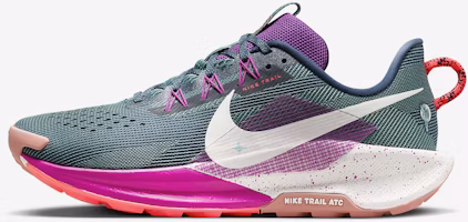 Nike Pegasus Trail 5 DV3864-401 Nike Pegasus Trail 5 DV3864-401