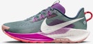 Buy 나이키 페가수스 트레일 5 DV3864-401
