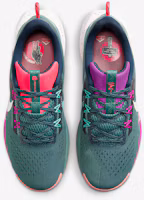Shop Nike Pegasus Trail 5 DV3864-401