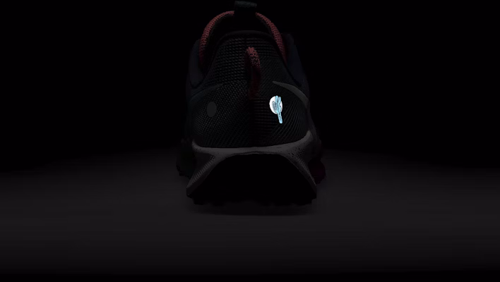 나이키 페가수스 트레일 5 DV3864-401 1