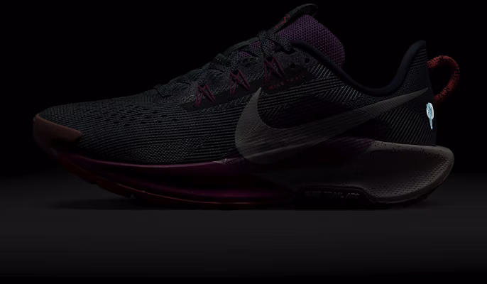 나이키 페가수스 트레일 5 DV3864-401 2