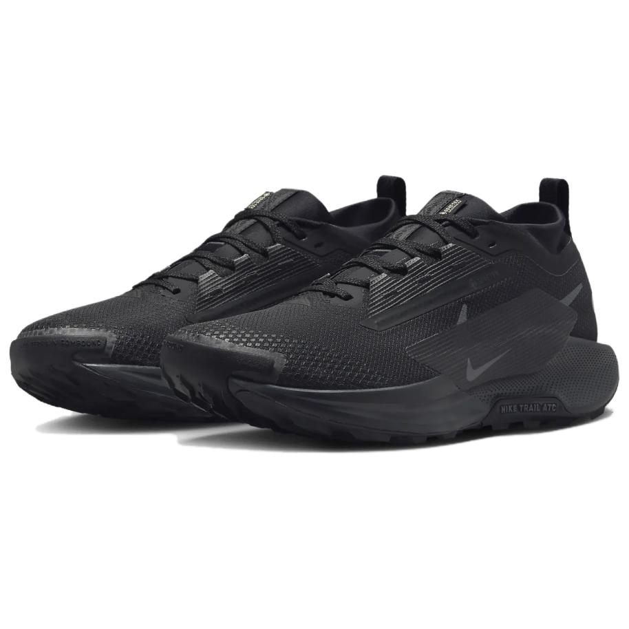 Purchase Nike Pegasus Trail 5 GORE-TEX 'Hitam Anthracite' FQ0908-002