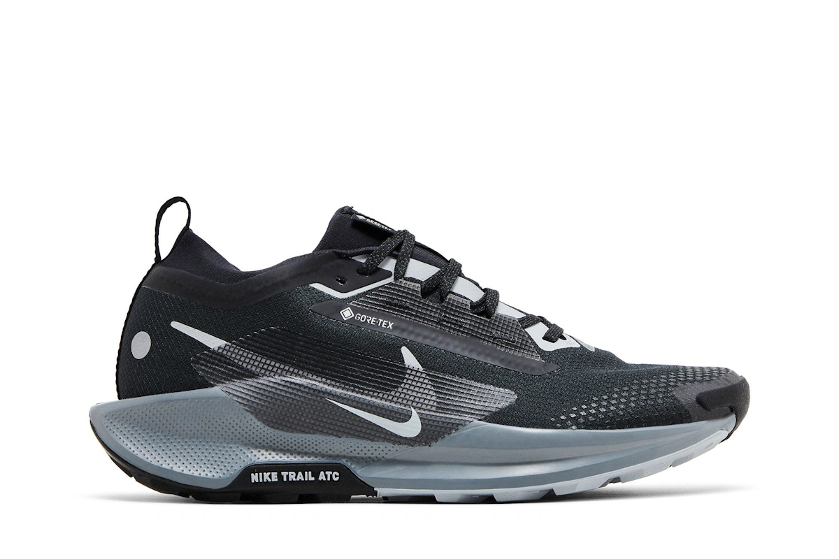 Nike Pegasus Trail 5 GORE-TEX 'Black Wolf Grey'