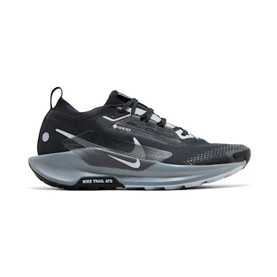 Nike Pegasus Trail 5 GORE-TEX 'Black Wolf Grey'