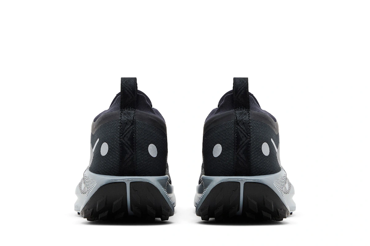 Nike Pegasus Trail 5 GORE-TEX 'Black Wolf Grey'