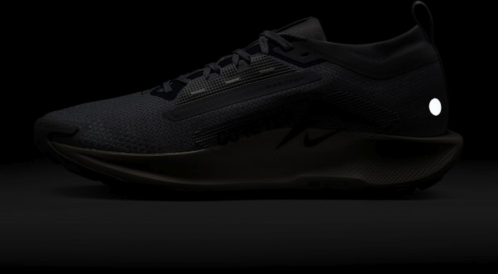 Nike Pegasus Trail 5 GORE-TEX 'Cement Gray Jade' Lelaki Wanita Kasut Lari FQ0908-006 3