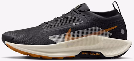 Nike Pegasus Trail 5 GORE-TEX (Direct Limited Release) FQ0908-007 Nike Pegasus Trail 5 GORE-TEX (Direct Limited Release) FQ0908-007