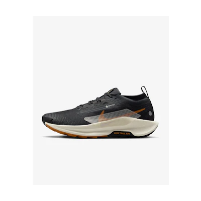 Nike Pegasus Trail 5 GORE-TEX (Direct LTD Release)