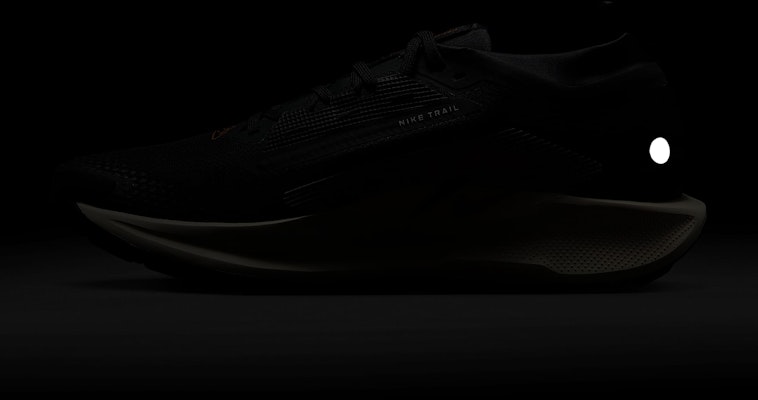 Nike Pegasus Trail 5 GORE-TEX (Edisi Terhad Langsung) FQ0908-007 3