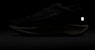 Nike Pegasus Trail 5 GORE-TEX (Edisi Terhad Langsung) FQ0908-007
