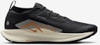 Lookbook Nike Pegasus Trail 5 GORE-TEX (Edisi Terhad Langsung) FQ0908-007