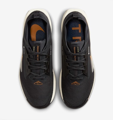 Nike Pegasus Trail 5 GORE-TEX (Edisi Terhad Langsung) FQ0908-007 Shop Nike Pegasus Trail 5 GORE-TEX (Edisi Terhad Langsung) FQ0908-007