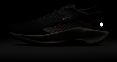 Nike Pegasus Trail 5 GORE-TEX (Edición Limitada Directa) FQ0908-007 2