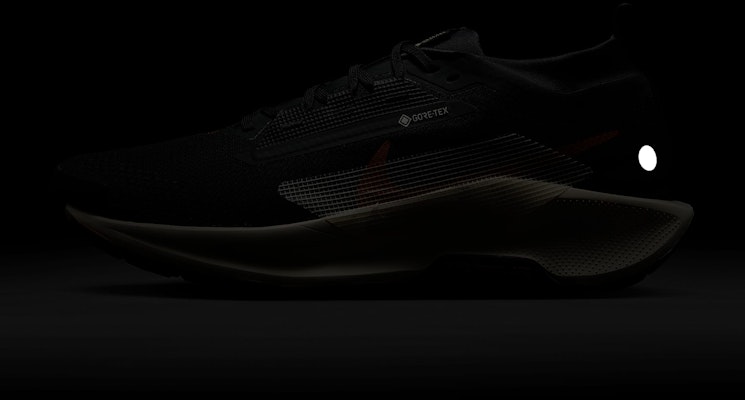 Nike Pegasus Trail 5 GORE-TEX (Edisi Terhad Langsung) FQ0908-007 2