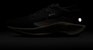 Nike Pegasus Trail 5 GORE-TEX (Edisi Terhad Langsung) FQ0908-007