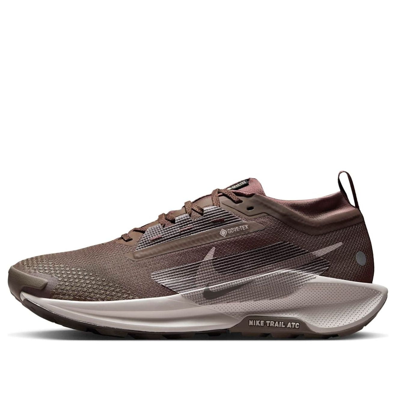 Nike Pegasus Trail 5 GORE-TEX 'Ironstone Velvet Brown' FQ0908-012